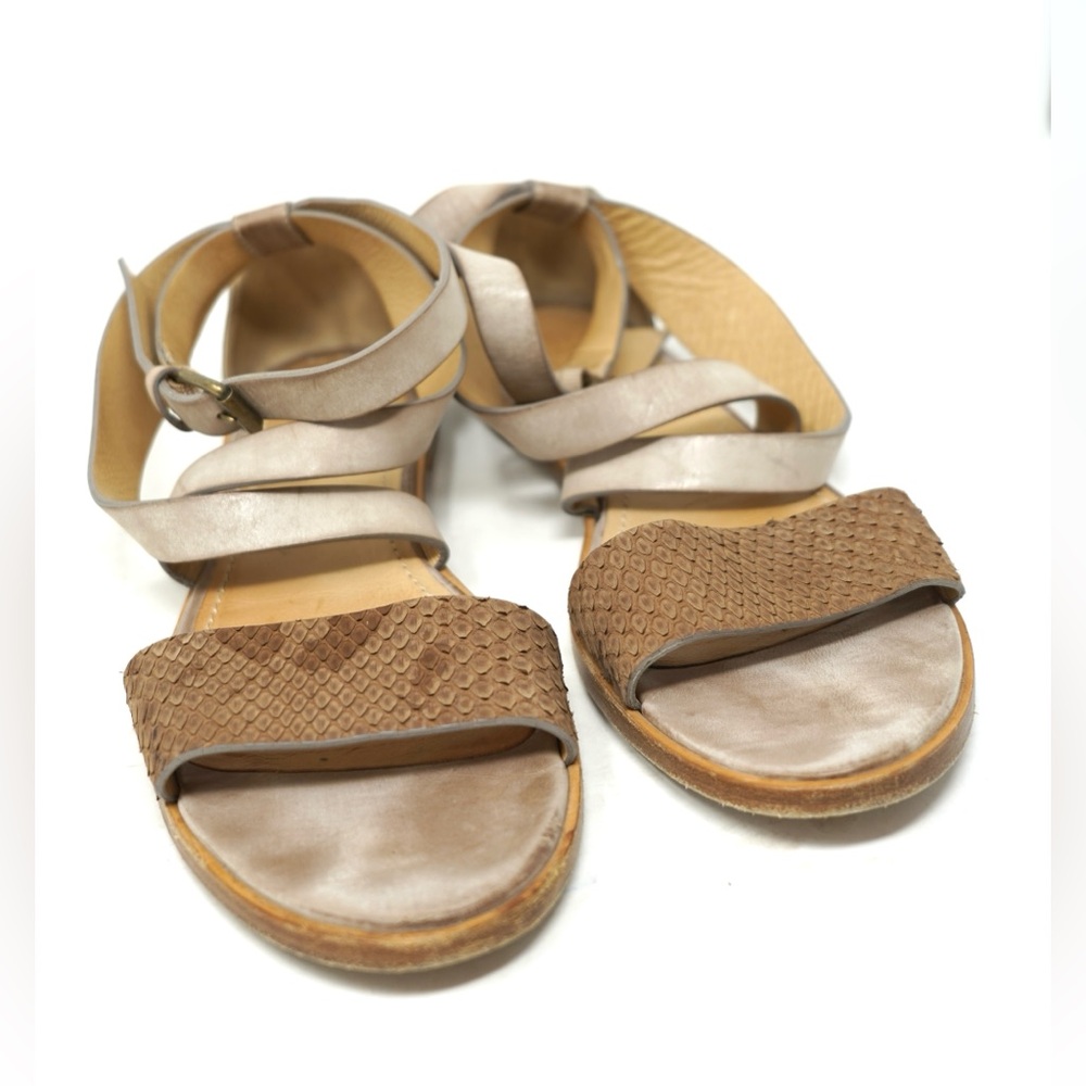 Brunello Cucinelli Leather And Python Sandal Size… - image 5